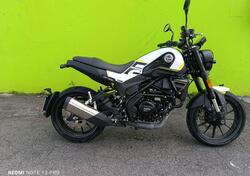 Benelli Leoncino 250 (2021 - 25) usata