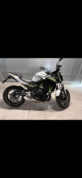 Kawasaki Z 650 (2020)