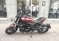 Benelli 502 C (2021 - 25) nuova