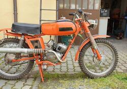 Bm Giaguarino  d'epoca