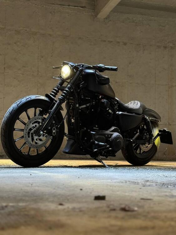 Harley-Davidson 883 Iron (2012 - 14) - XL 883N (2)