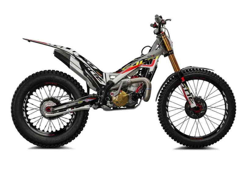TRS Motorcycles One 300 One 300 Gold Edition (2025) (2)