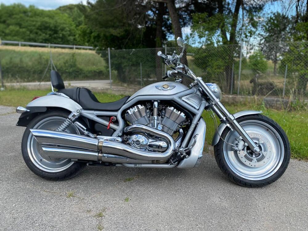 Harley-Davidson 1130 V-Rod (2002 - 05) - VRSCA