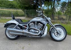 Harley-Davidson 1130 V-Rod (2002 - 05) - VRSCA usata