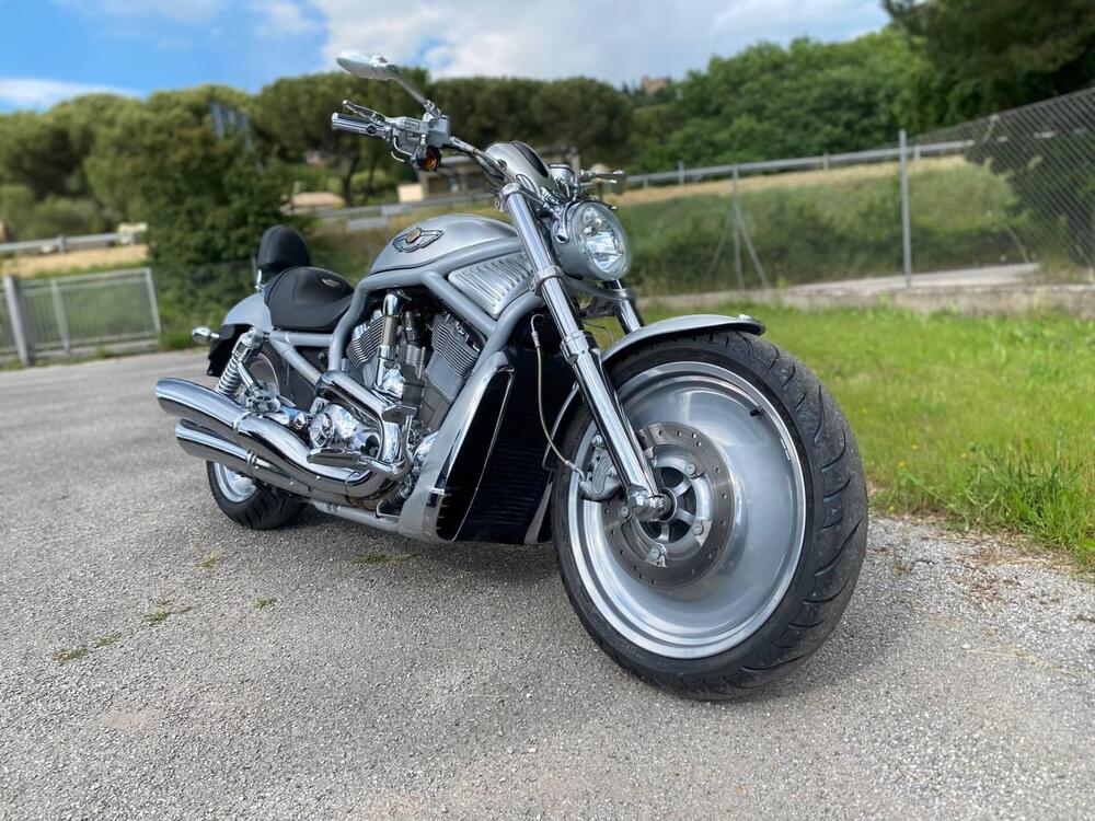 Harley-Davidson 1130 V-Rod (2002 - 05) - VRSCA (2)