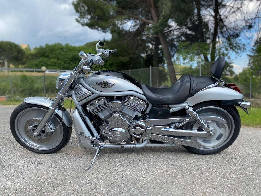 Harley-Davidson 1130 V-Rod (2002 - 05) - VRSCA (3)
