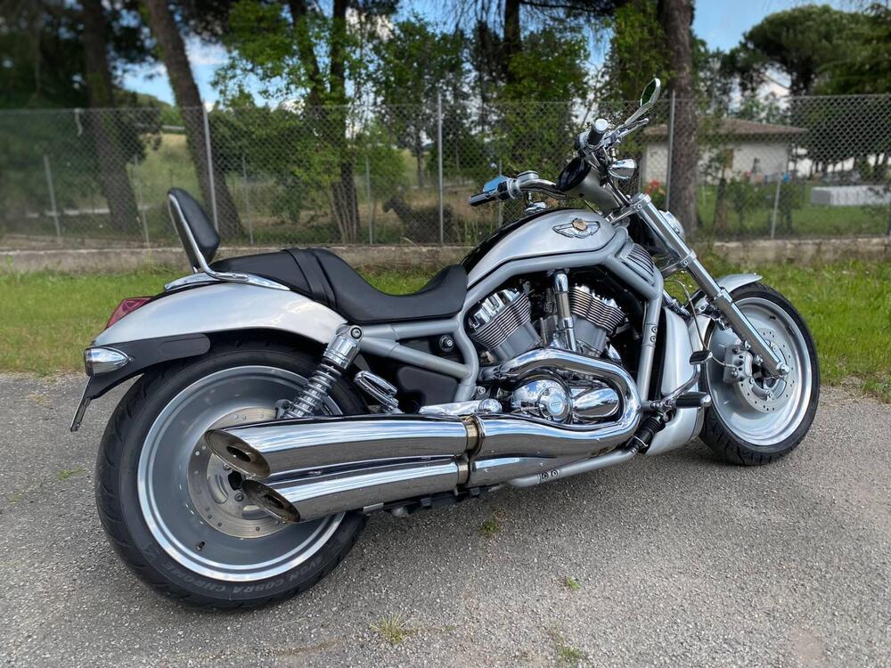 Harley-Davidson 1130 V-Rod (2002 - 05) - VRSCA (4)