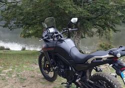 Honda Transalp XL750 (2023 - 24) usata
