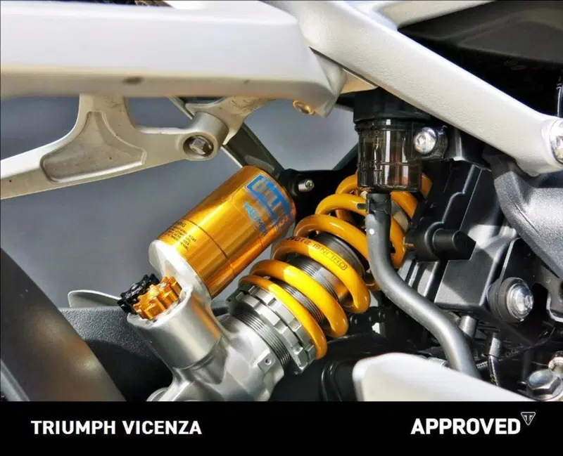 Triumph Speed Triple 1200 RS (2021 - 24) (13)