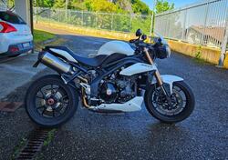 Triumph Speed Triple 1050 ABS (2011 - 15) usata