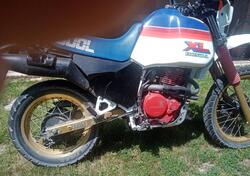 Honda XL 600 R (1983 - 86) usata