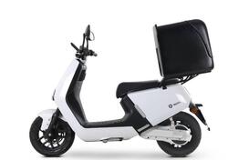 Yadea G5S Utility (2022 - 25) nuova