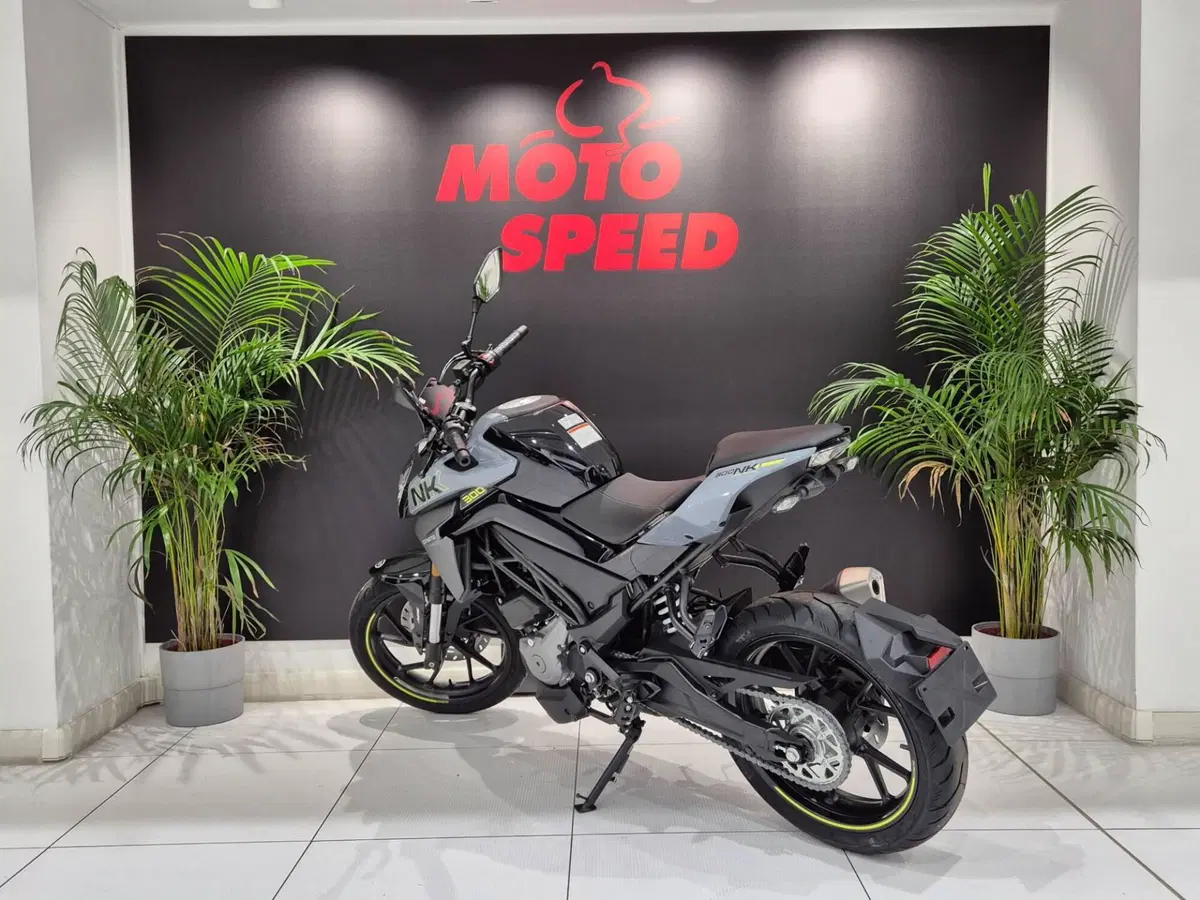 CFMOTO 300NK (2021 - 26) (5)