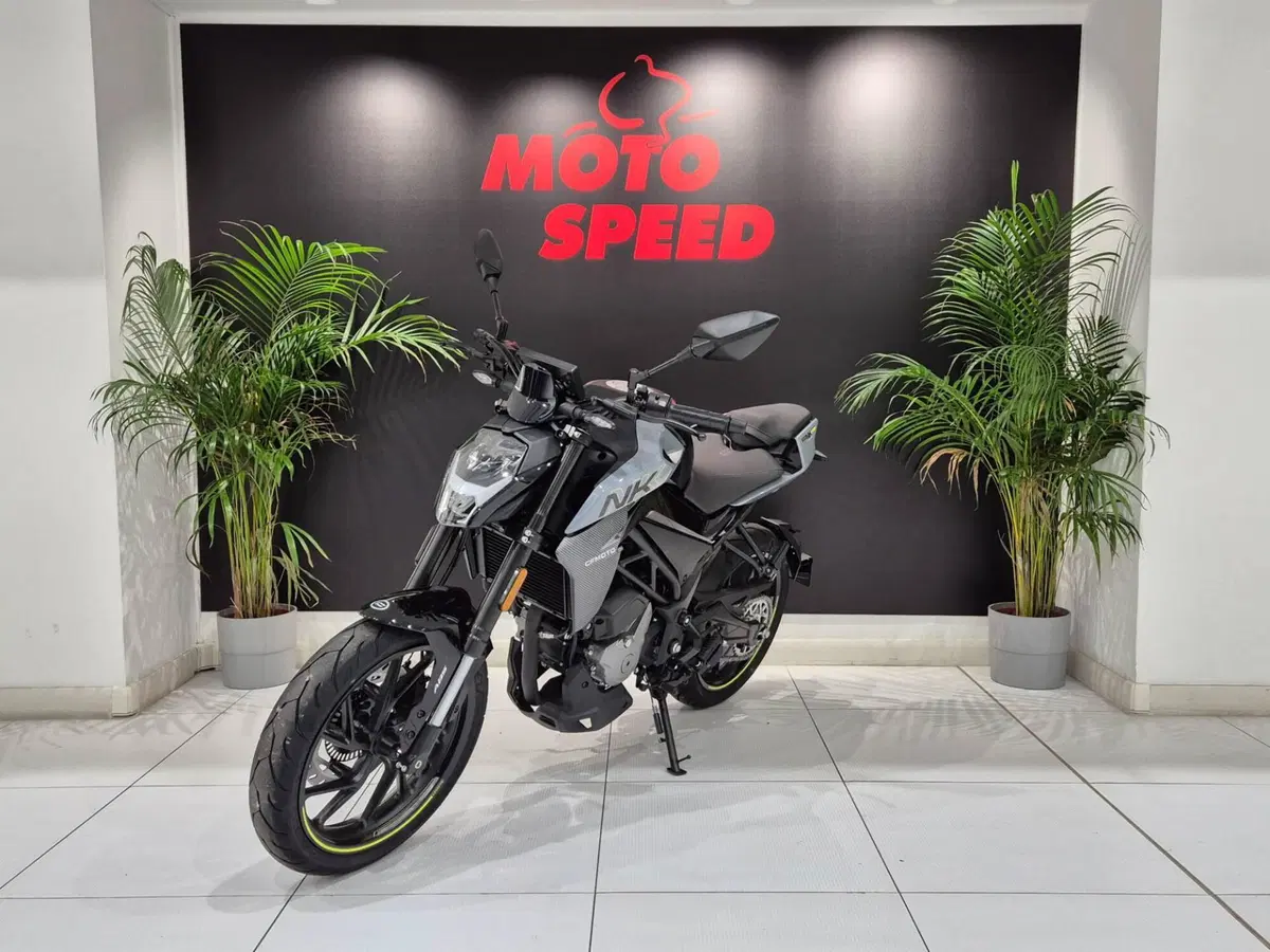 CFMOTO 300NK (2021 - 26) (2)