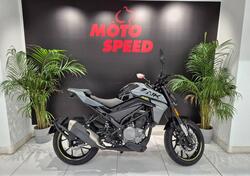 CFMOTO 300NK (2021 - 25) nuova