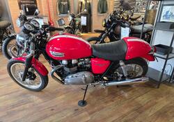Triumph Thruxton 900 (2004 - 15) usata