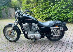 Harley-Davidson 883 Low (2006 - 07) - XL 883L usata