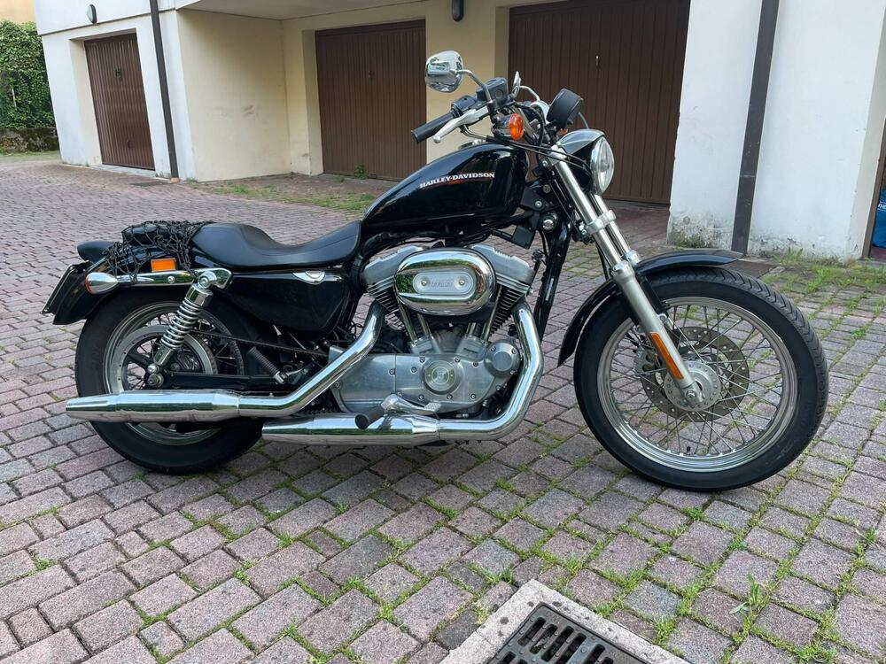 Harley-Davidson 883 Low (2006 - 07) - XL 883L (2)