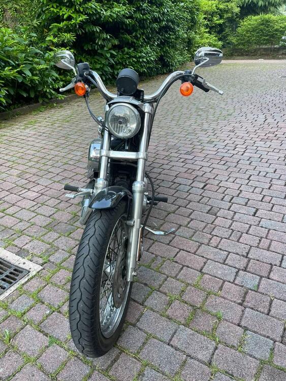 Harley-Davidson 883 Low (2006 - 07) - XL 883L (3)