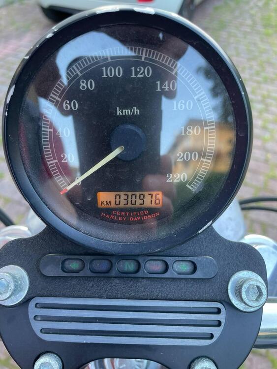 Harley-Davidson 883 Low (2006 - 07) - XL 883L (5)
