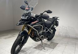 Triumph Tiger 1200 Rally Explorer (2024 - 25) usata