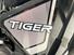 Triumph Tiger 1200 Rally Explorer (2024 - 25) (11)