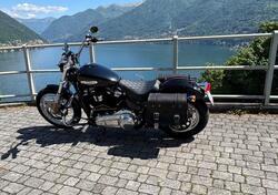 Harley-Davidson Softail Standard (2021 - 25) usata