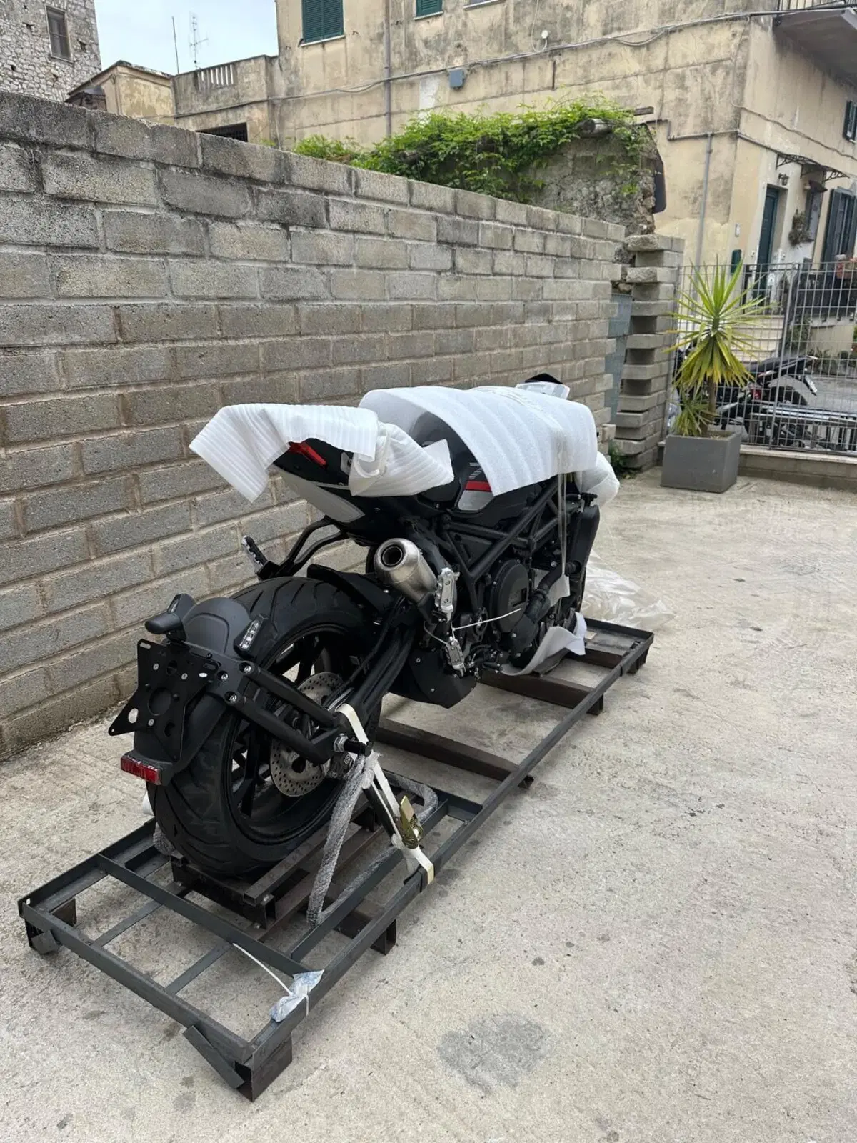 Benelli 752 S (2022 - 25) (4)