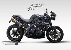 Triumph Speed Triple 1050 (2005 - 11) usata
