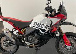 Ducati DesertX Rally (2024 - 25) usata