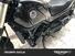 Benelli Leoncino 500 (2021 - 25) (7)