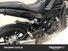 Benelli Leoncino 500 (2021 - 25) (6)