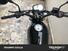 Benelli Leoncino 500 (2021 - 25) (12)