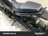 Benelli Leoncino 500 (2021 - 25) (9)