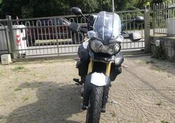 Triumph Tiger 800 ABS (2010 - 14) usata