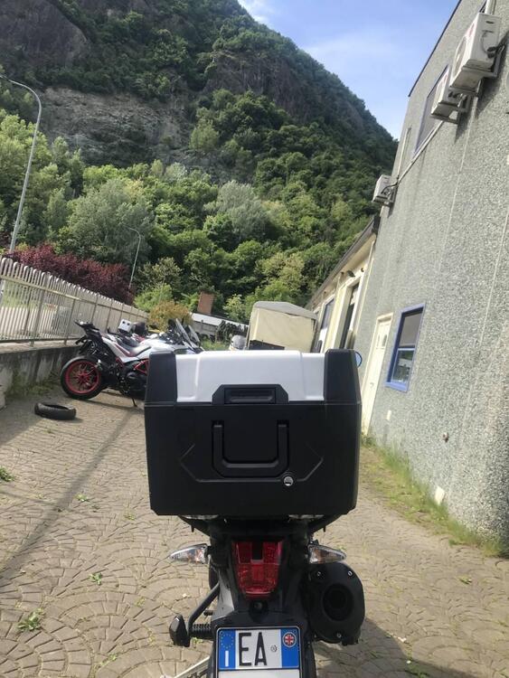 Triumph Tiger 800 ABS (2010 - 14) (3)