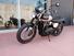 Triumph Scrambler 900 Icon Edition (2025) (10)