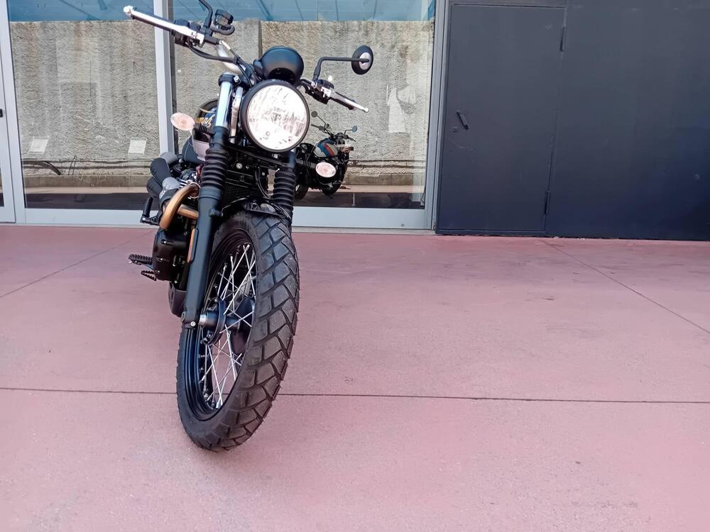 Triumph Scrambler 900 Icon Edition (2025) (5)