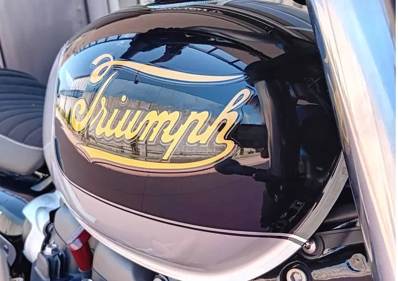Triumph Scrambler 900 Icon Edition (2025 - 26) (15)