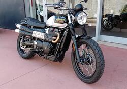 Triumph Scrambler 900 Icon Edition (2025) nuova