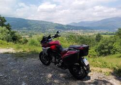 MV Agusta Turismo Veloce 800 (2014 - 16) usata