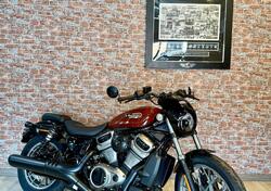Harley-Davidson Nightster Special (2023 - 25) usata