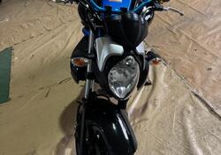 Suzuki Gladius 650 SFV (2009 - 15) usata