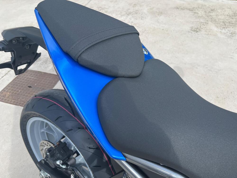 Suzuki GSX-8R (2024 - 25) (3)