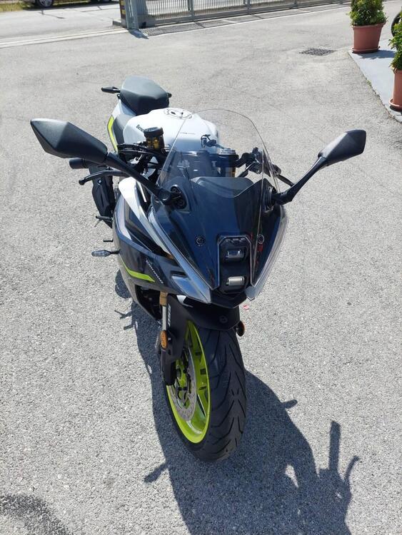 Benelli Tornado 550 (2025) (4)
