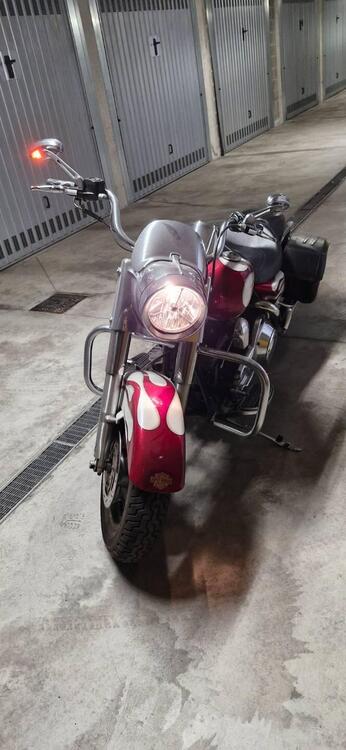 Harley-Davidson 1450 Road King Custom (2005 - 06) - FLHRS (2)