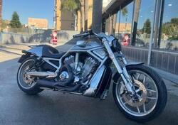 Harley-Davidson 1250 V-Rod (2008 - 12) - VRSCAW usata