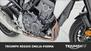 Honda CB 1000 R (2021 - 25) (20)