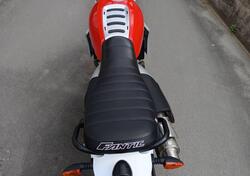 Fantic Motor Caballero 500 Scrambler (2021 - 23) usata