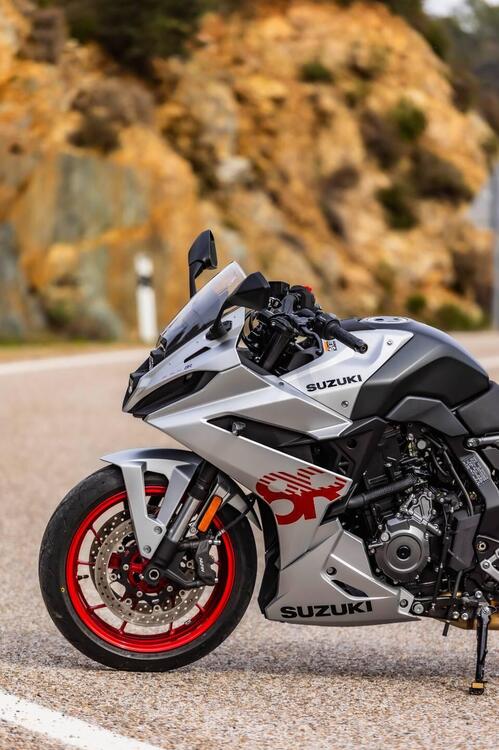 Suzuki GSX-8R (2024 - 25) (4)